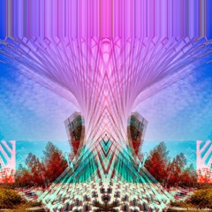 Free Downloads