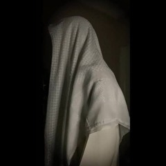 الله نور السماوات والأرض | عمر بن ضياء الدين - سورة النور