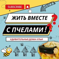 Жить вместе с пчелами!
