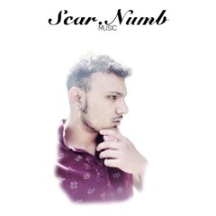 ScarNumb - MÉG MINDIG _Official Audio_ (320K).mp3