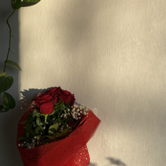 LOVESONG