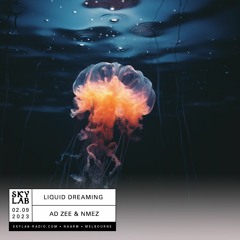 AD ZEE - Liquid Dreaming - EP 2 (featuring NMEZ)