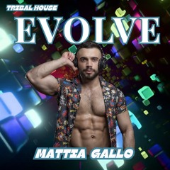 EVOLVE - tribal house setmix