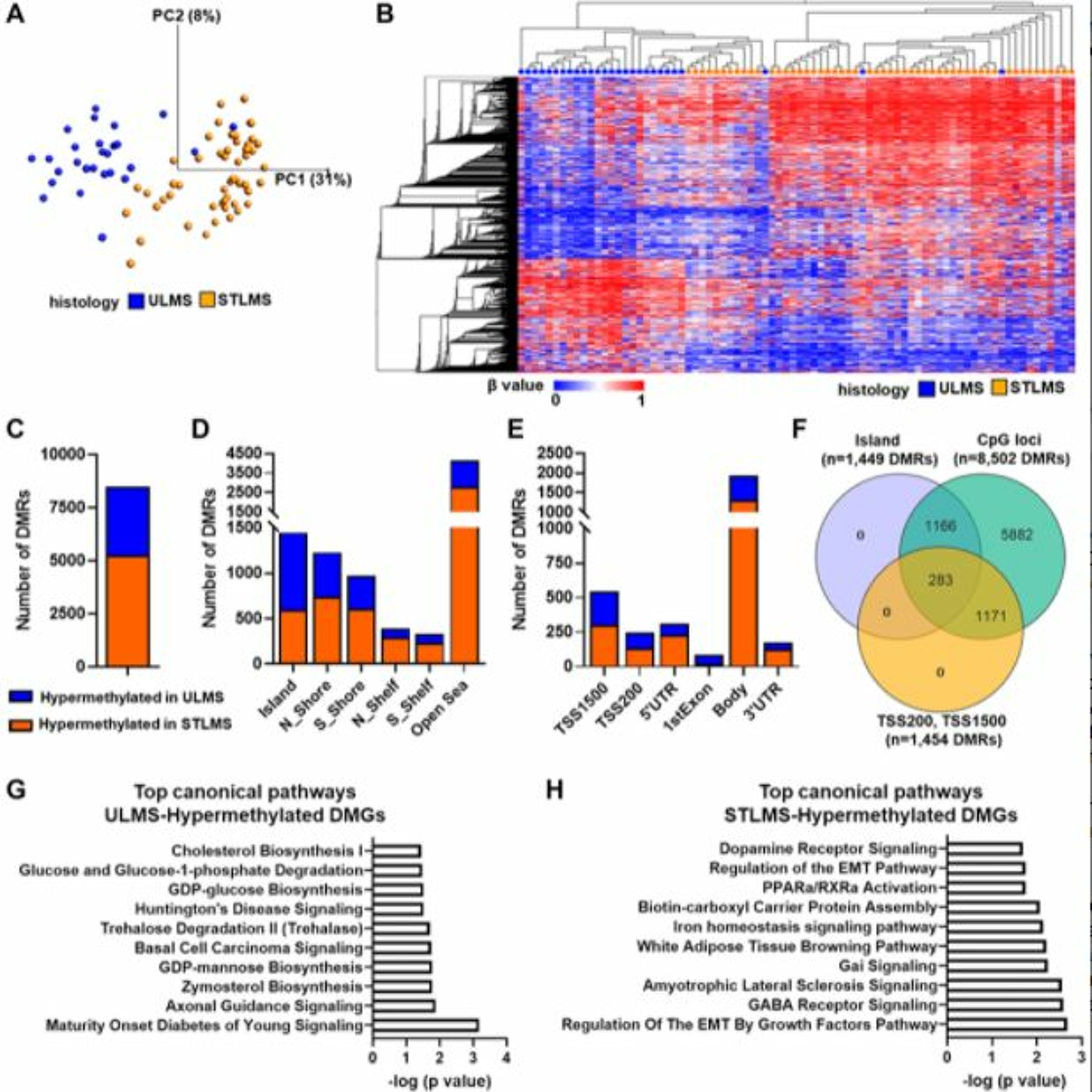 Oncotarget