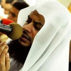 سورة النمل / المصحف المرتل _ القارىء حاتم فريد الواعر