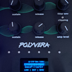 Learning the Polyvera 1