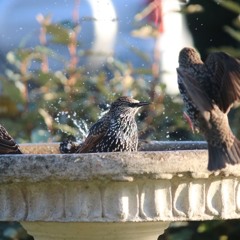 Lockdown By Numbers 03