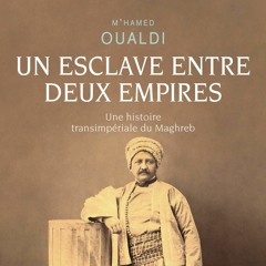 Chemins d'histoire-Un esclave entre deux empires au XIXe s., avec M. Oualdi-10.04.23