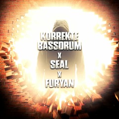 Korrekte Bassdrum X Seal X Furyan