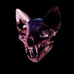Which One (DIMSSH Remix)
