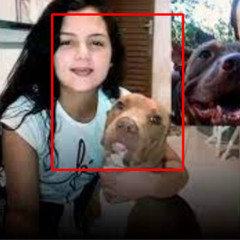 Live 18+ video pitbull mario portal zacarias pitbull mario
