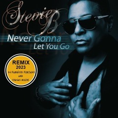 Steve By Feat. Dj Fabricio Furtado & Chagas Milzik - Never Gonna Let You Go [Versão Rádio]