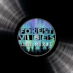FOREST VIBES - DNB Mix #1