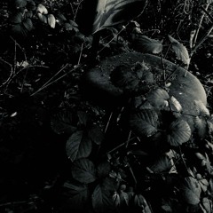 I´m A Sucker For Pain // Hitech/Dark 195bpm