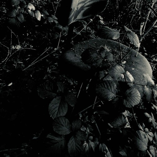 I´m A Sucker For Pain // Hitech/Dark 195bpm