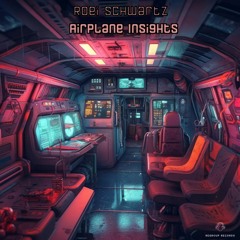 Roei Schwartz - Airplane Insights