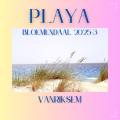Playa Bloemendaal 2025-3 - Vanriksem