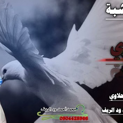 جديد || 2022 || الفنان || بلة ود الاشبة || القماري