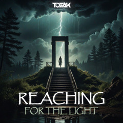 TOSAK - Reaching For The Light (Original Mix)