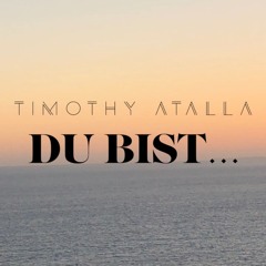 TIMOTHY ATALLA - Du Bist... (Original Mix)