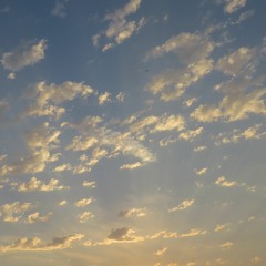 Wind Dance (No Lead)