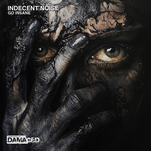 Go Insane (Extended Mix)