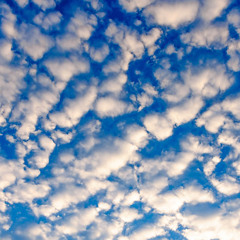 Lil Tan360- Fly Above (ft.Yung Hellian)