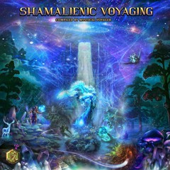 49 GRUMLAR - Mesacoolpa - Visionary Shamanics - SHAMALIENIC VOYAGERS