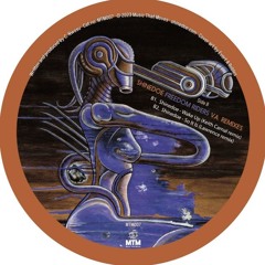 Shinedoe - Shine (Ritzi Lee Remix)- MTM007