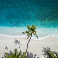 Beach House