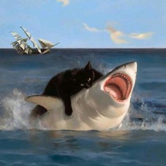 meanwhile in my living room ❤️