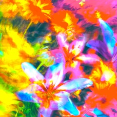 Dreaming About Life (sunshine mix)