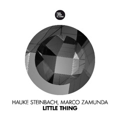 Hauke Steinbach & Marco Zamunda - Little Thing