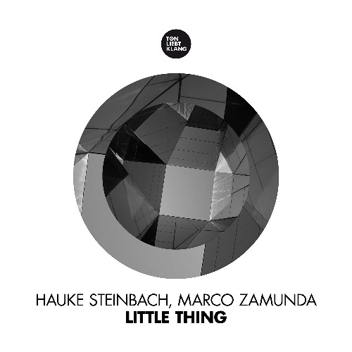 Hauke Steinbach & Marco Zamunda - Little Thing