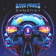 Acid Punks - Synergy [sample]