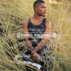 Veja esta Canção (Album Version)