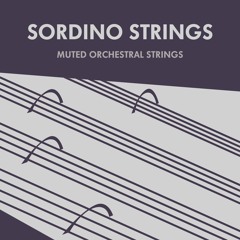 Sordino Strings Demo - Dream Catchers - By Kaizad & Firoze Patel