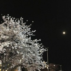 Last Winter