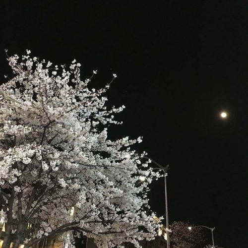 Last Winter