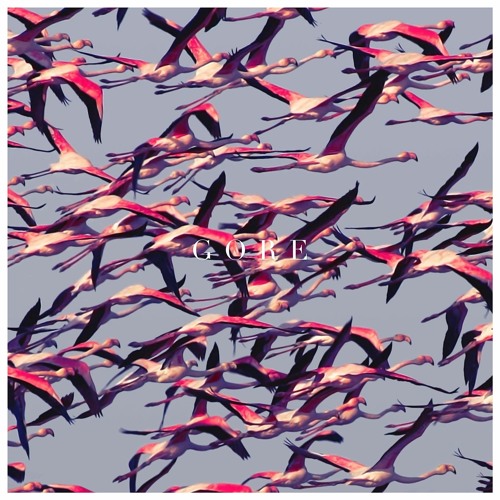 Listen To Phantom Bride By Deftones In Deftones Songs Ranked By How pin-deftones-white-pony-templeton-store