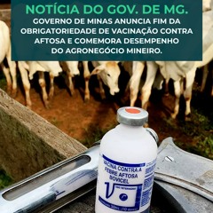 Governo de MG anuncia fim da obrigatoriedade de vacinação contra aftosa.