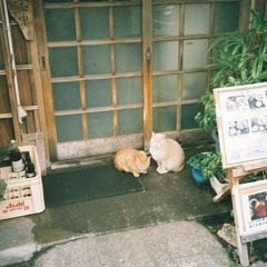 日々 (demo)