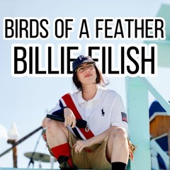 Billie Eilish - Birds Of A Feather(ZACKiSS Circuit mash) #FREEDL