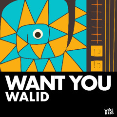 Walid - Want You [WE'RE HERE]