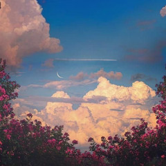 Nụ Cười Xuân Lofi - ( Quốc Toản )
