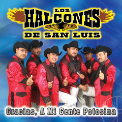 Que al Cabo y Qué