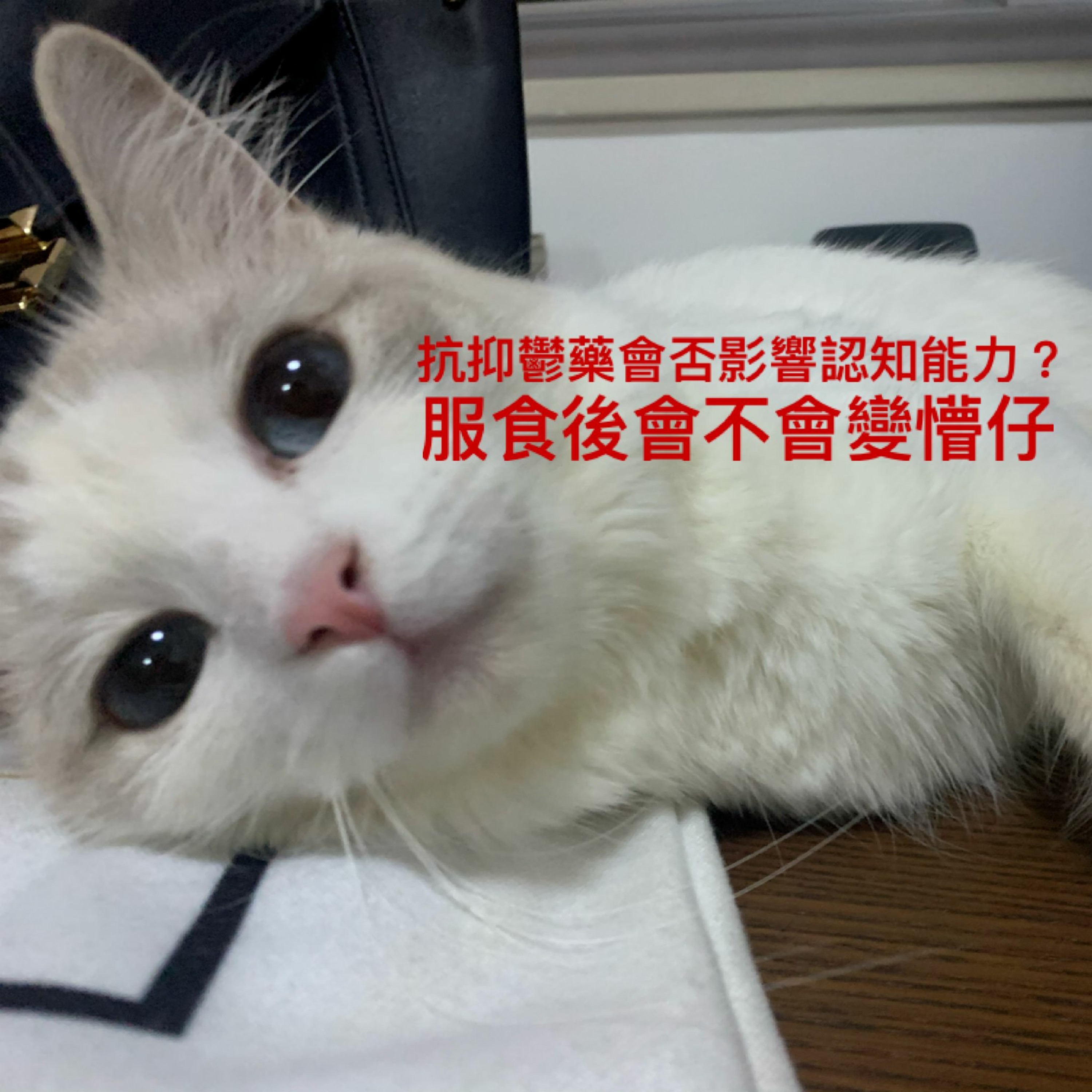 精神醫學三分鐘 —— 抗抑鬱藥會否影響認知能力?服食後會不會變懵仔