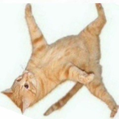 Elijxhwtf - Vasto Lorde (Prod. 2011)