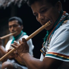 Madre Linda - Rubén Díaz (Cover) - JUANPABLO EVANJUANOY - PUTUMAYO - COLOMBIA - 2019