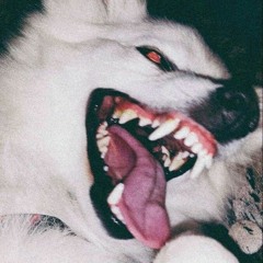 don't stop (HARDSTYLE)